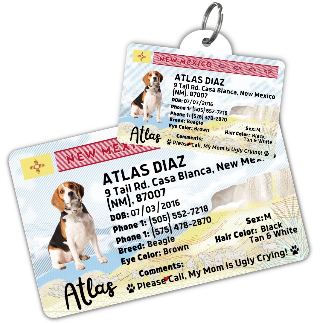 License Tag (New Mexico) - Tag