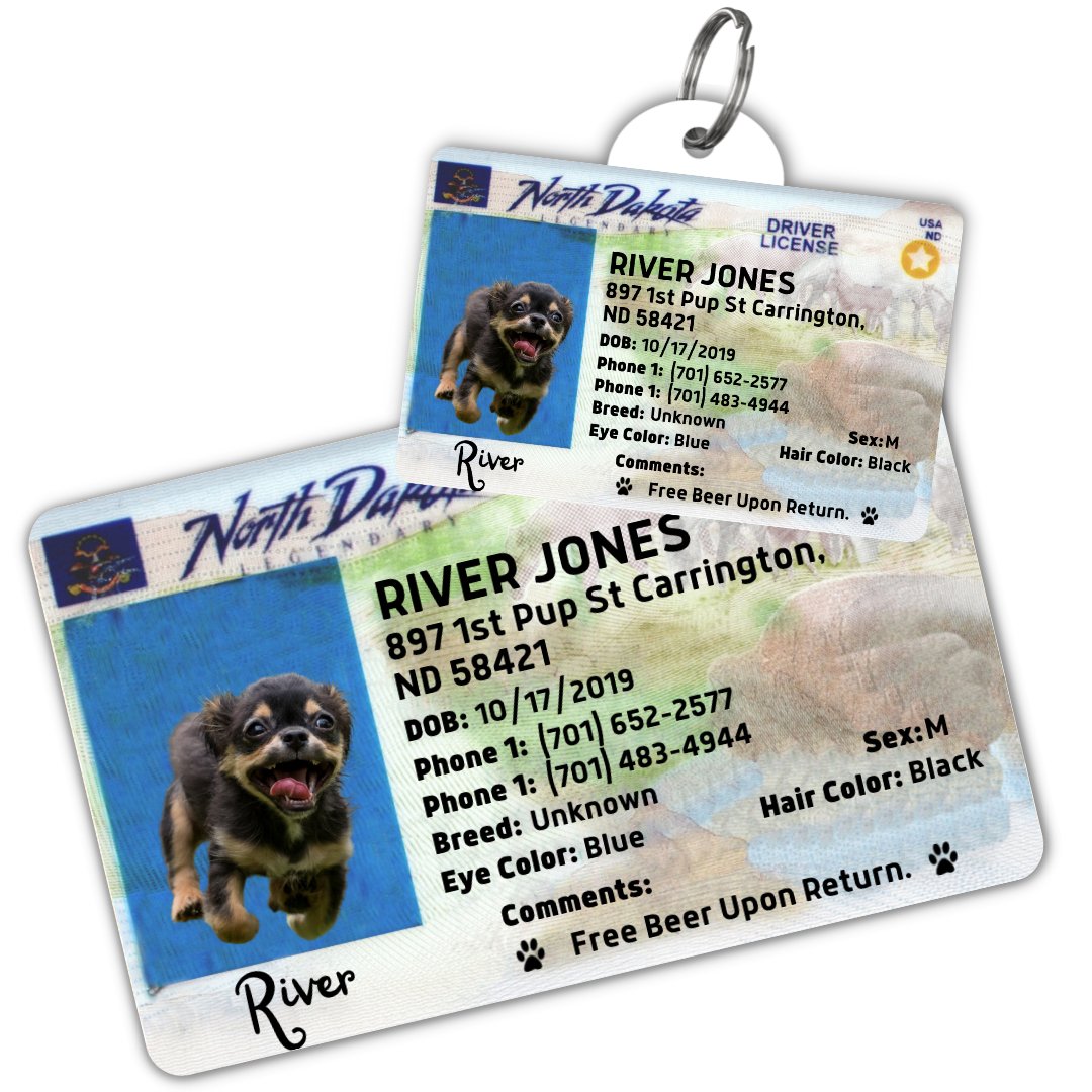 License Tag (North Dakota) - Tag and Wallet Card