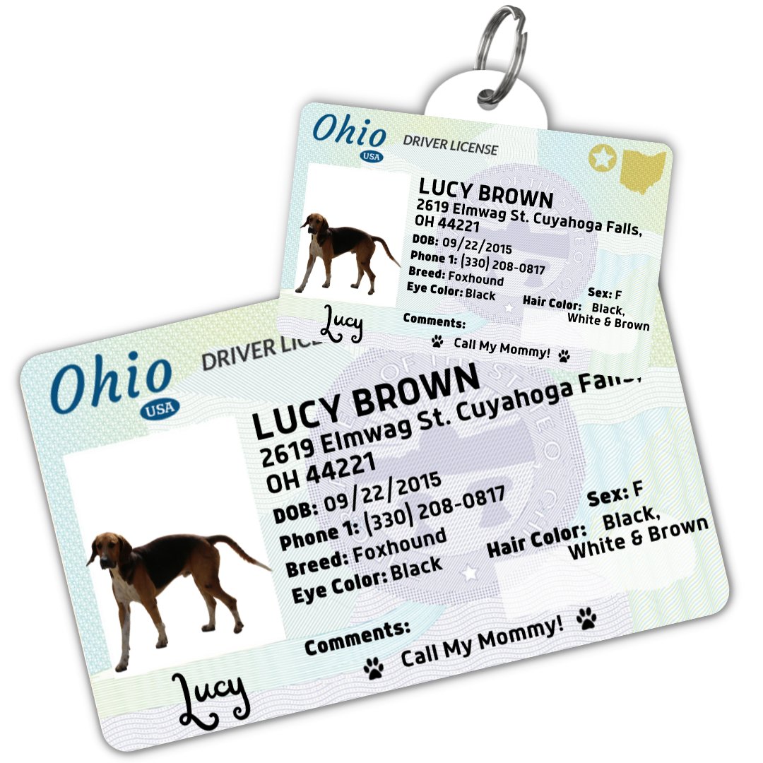 License Tag (Ohio) - Tag and Wallet Card