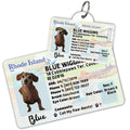 License Tag (Rhode Island) - Tag