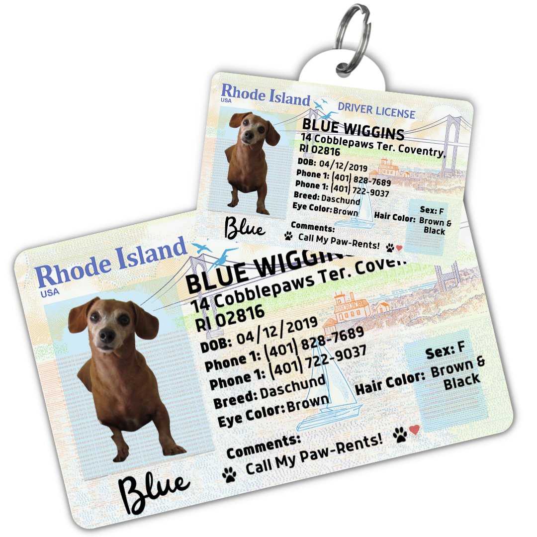 License Tag (Rhode Island) - Tag