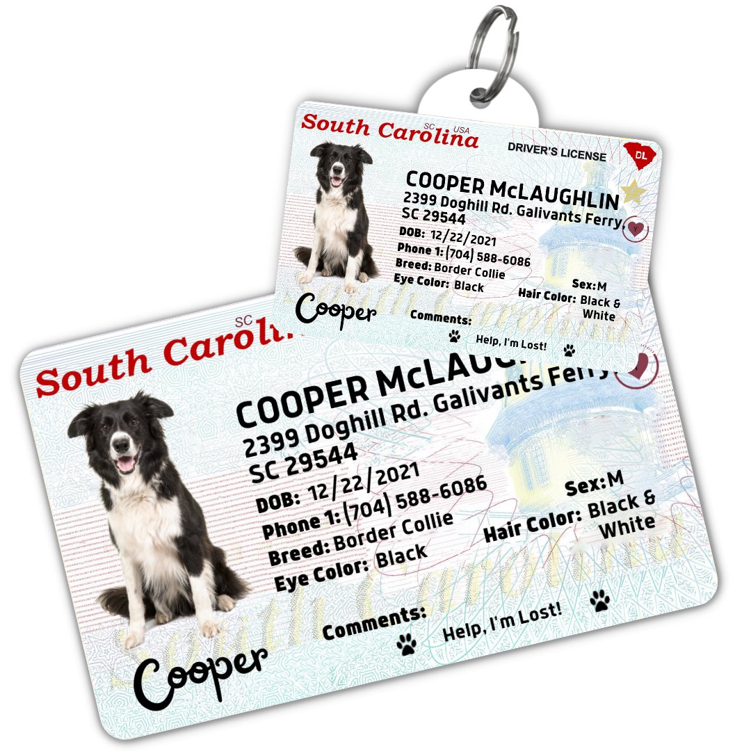 License Tag (South Carolina) - Tag