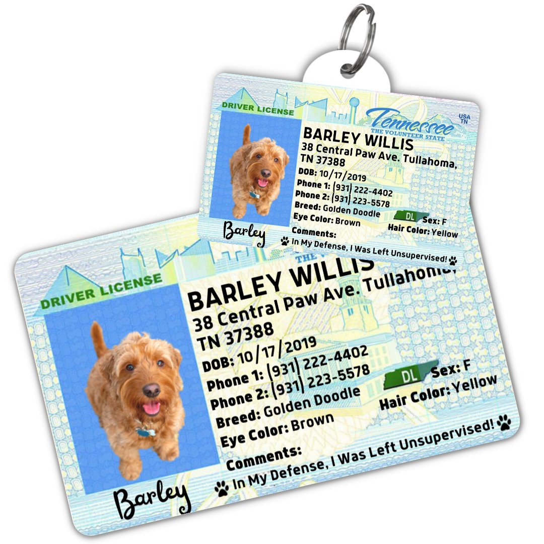 License Tag (Tennessee) - Tag