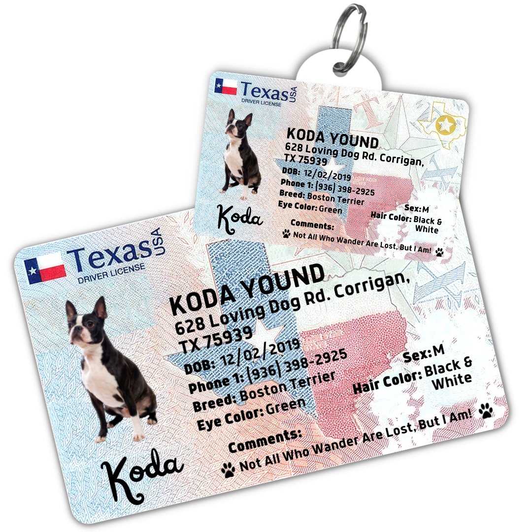 License Tag (Texas) - Tag