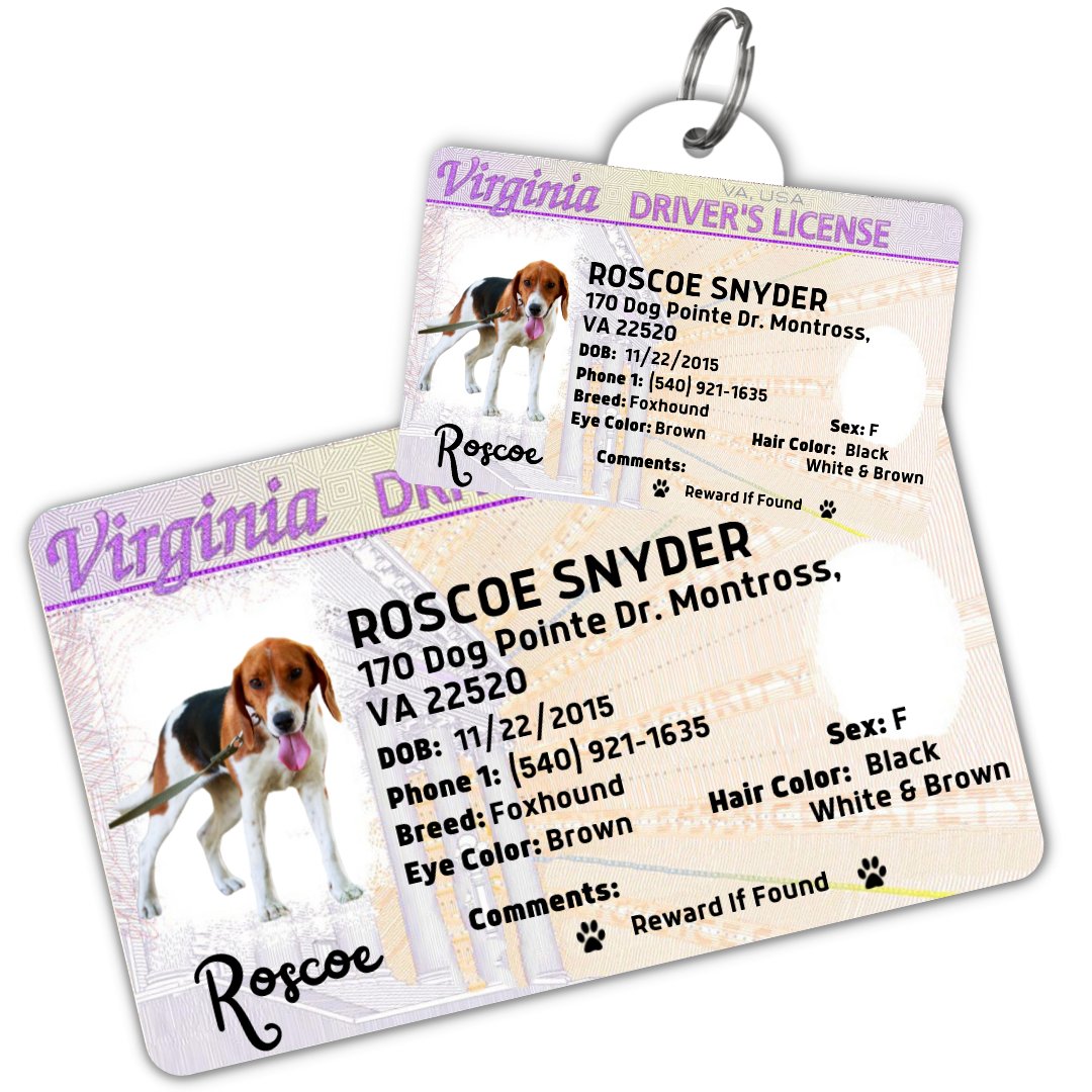 License Tag (Virginia) - Tag