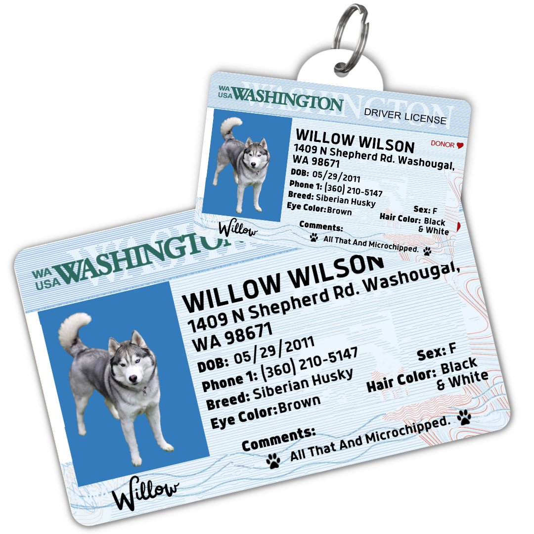License Tag (Washington) - Tag