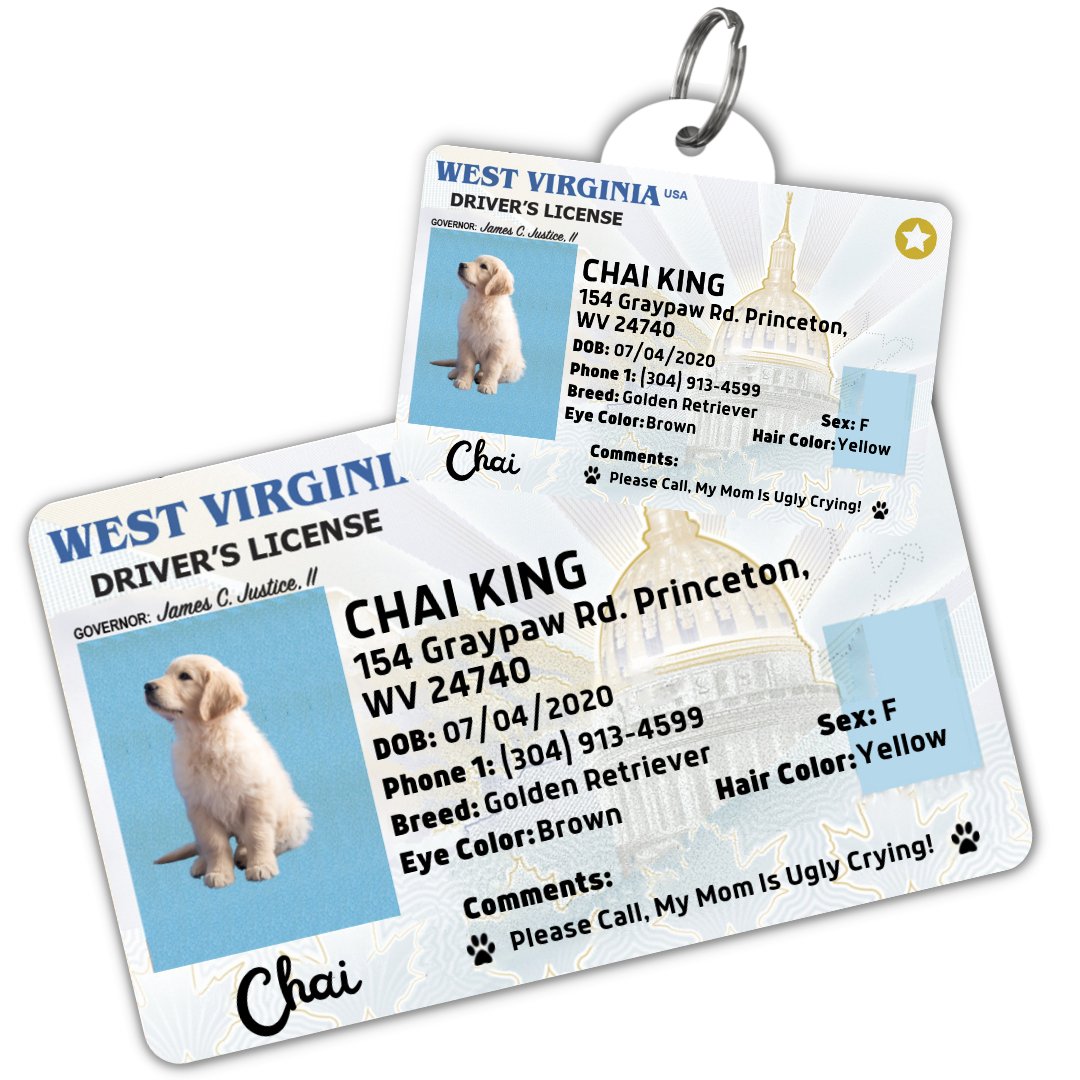 License Tag (West Virginia) - Tag