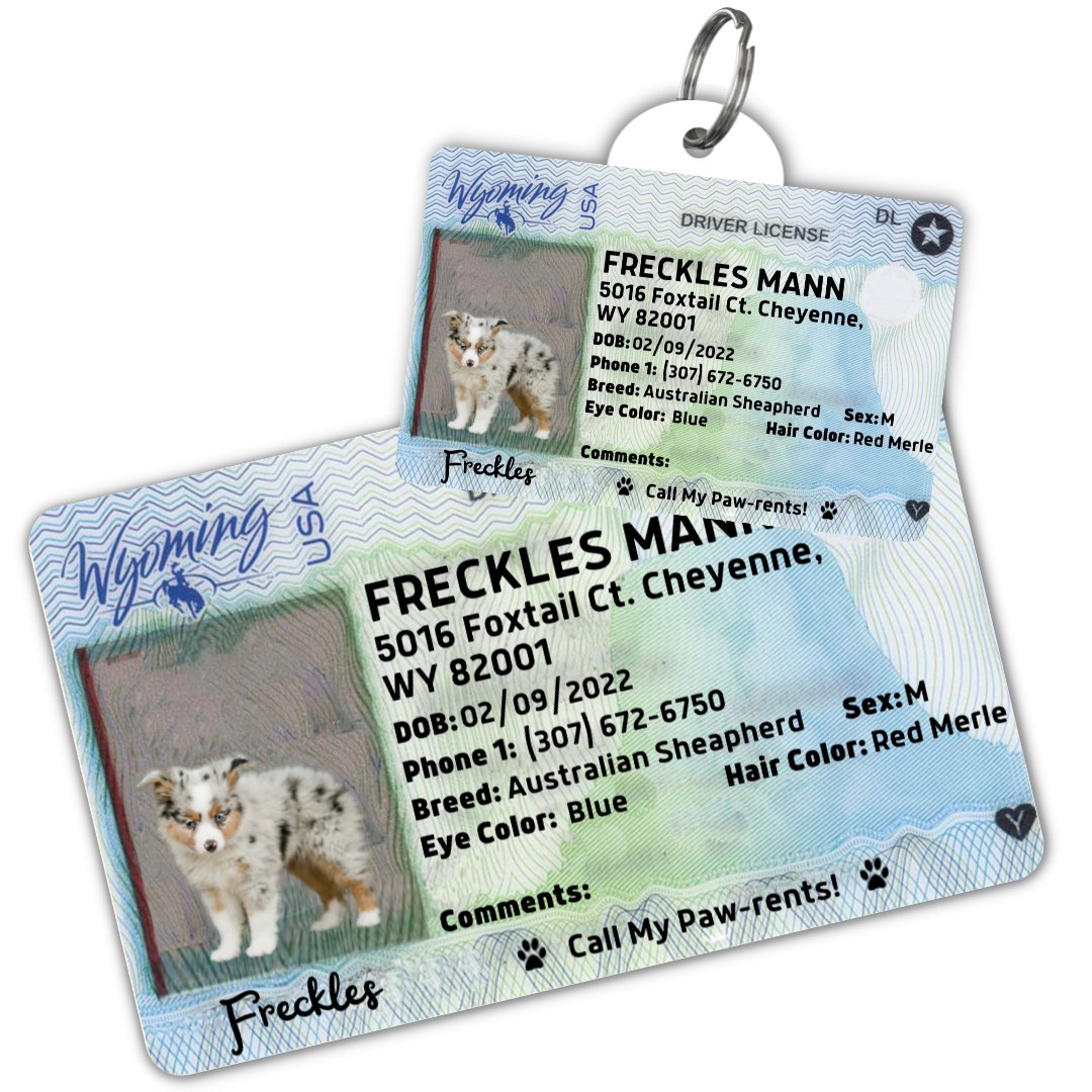 License Tag (Wyoming) - Tag