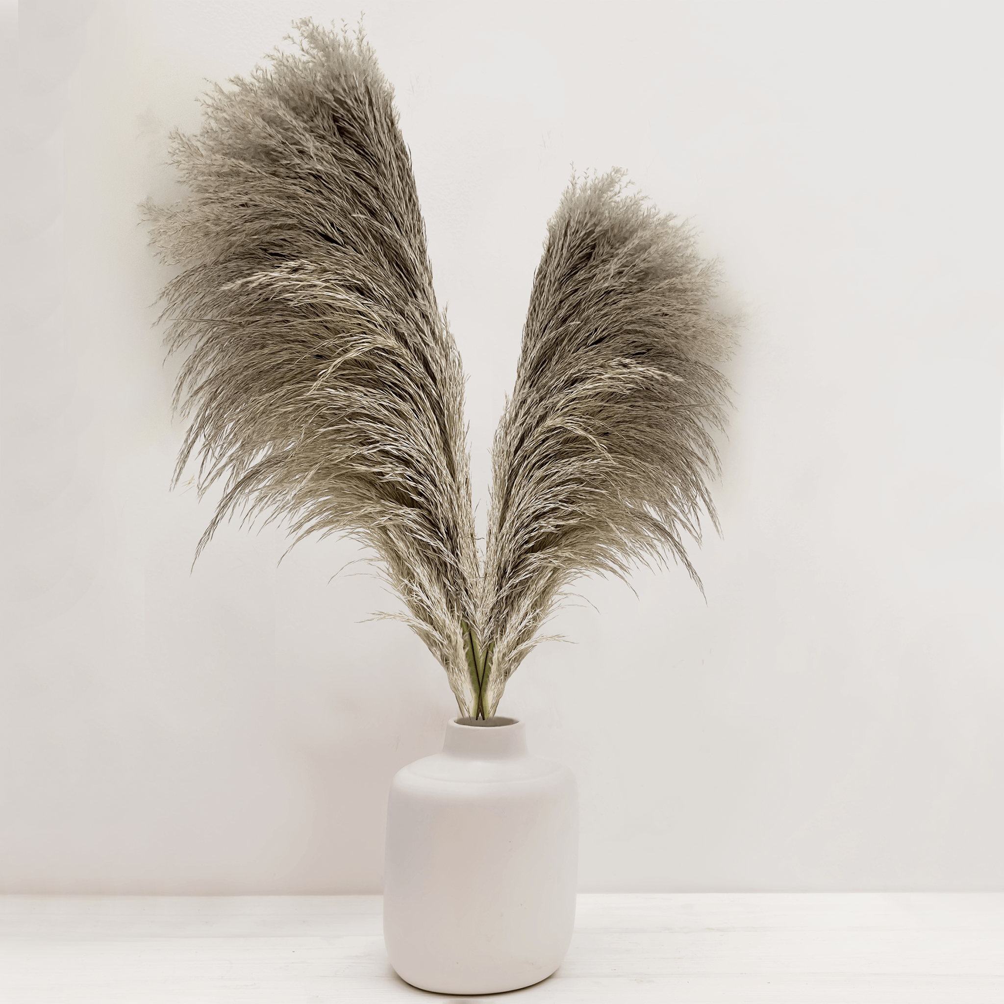 Pampas - Beige x4