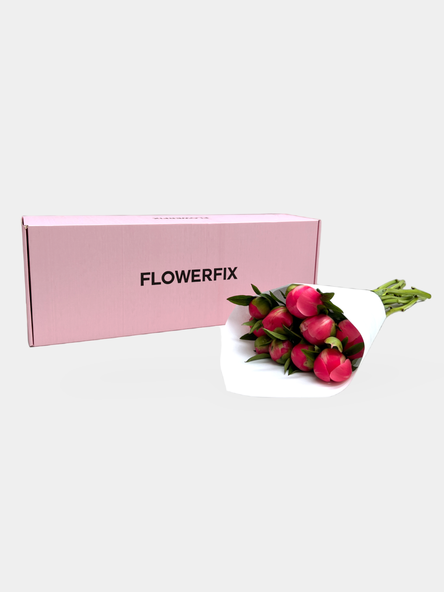 Coral Peonies - 5 Stems