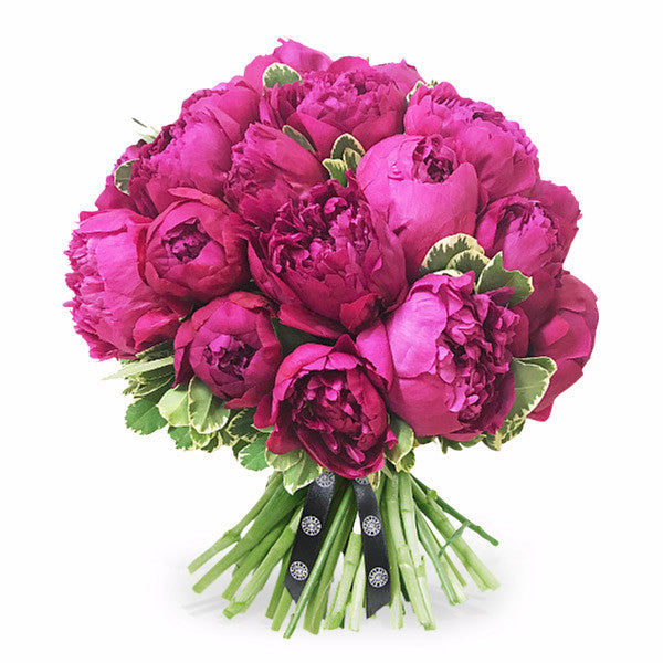 Peony Perfection - 25 Stems
