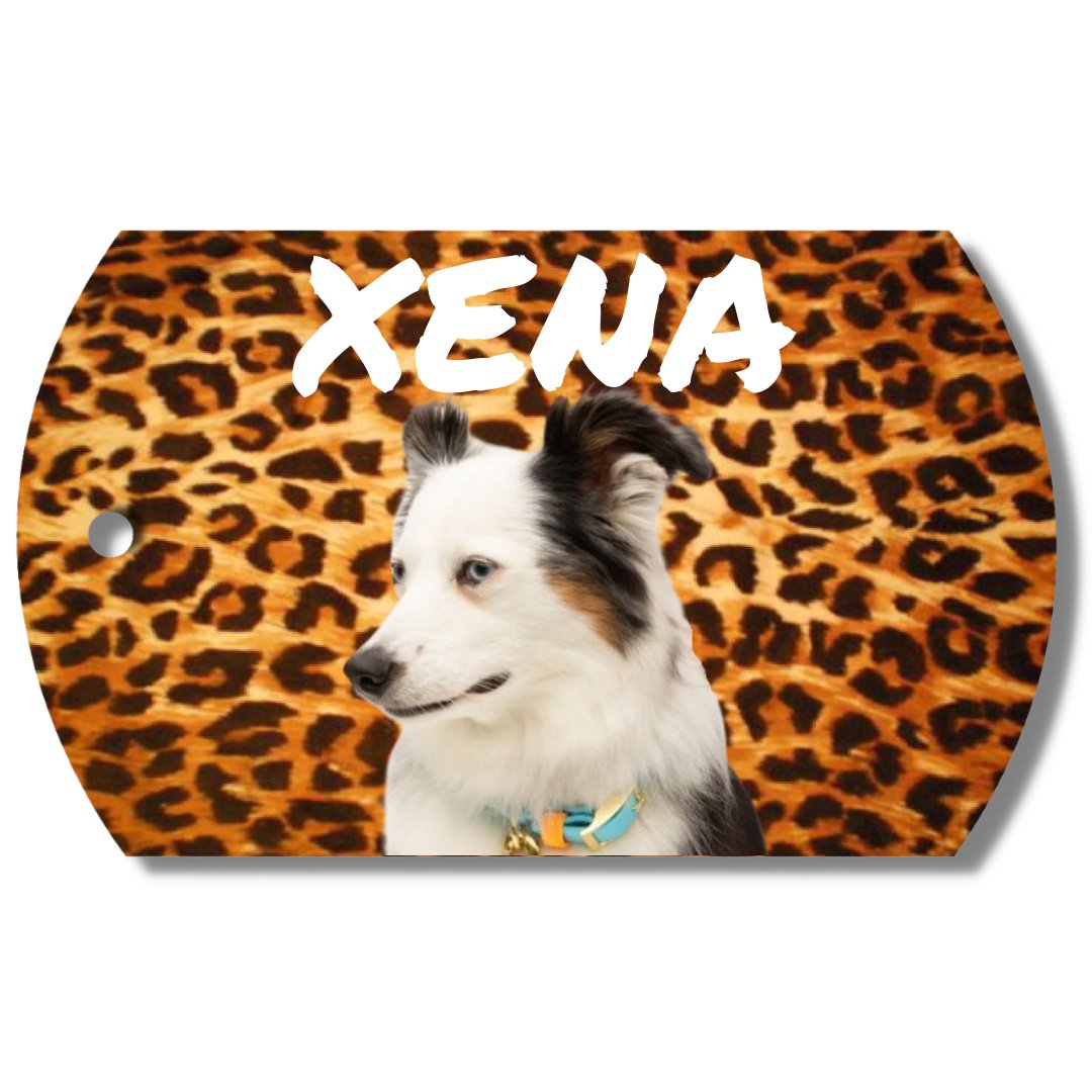 Photo Tag (Animal)