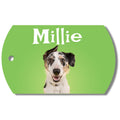 Photo Tag (Green)