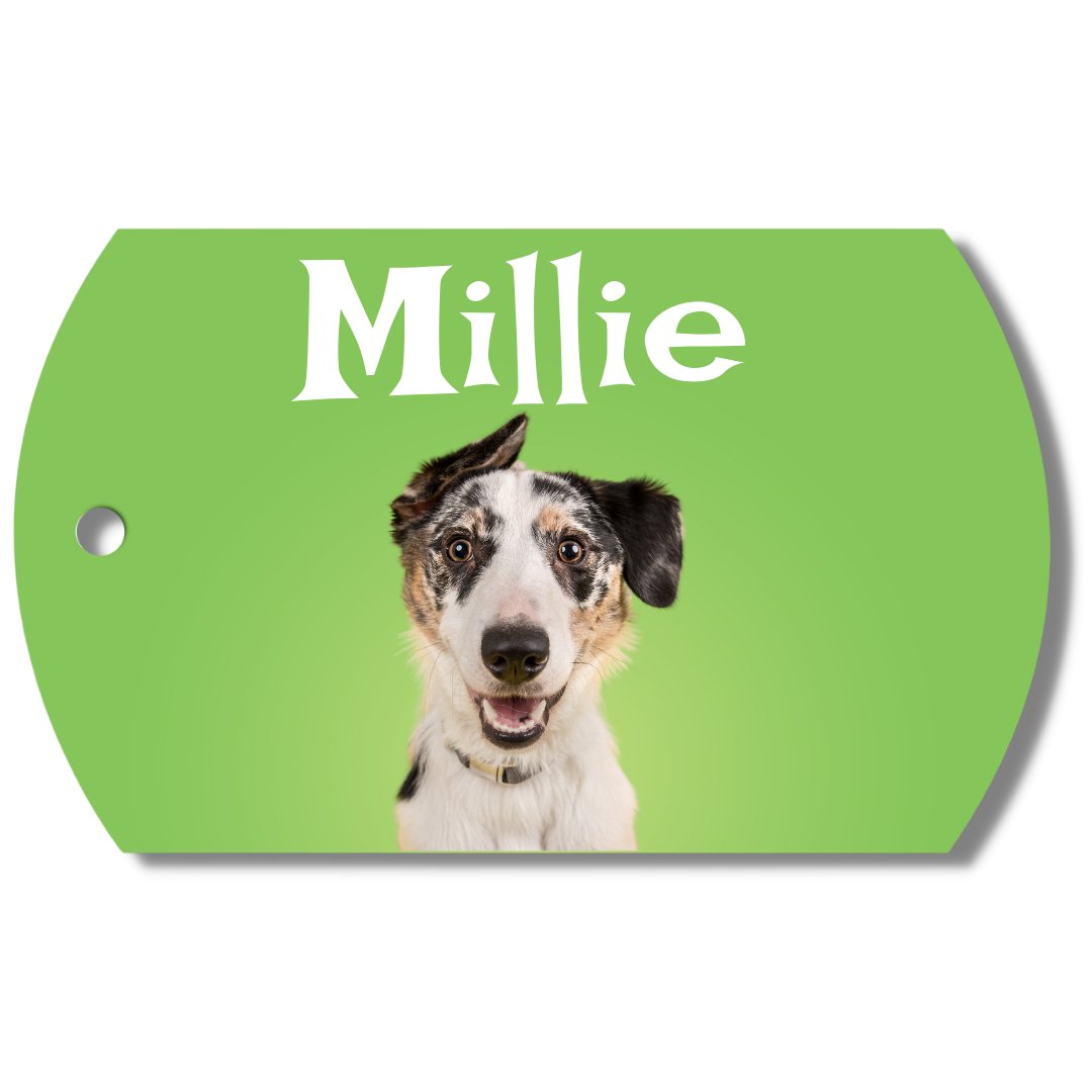 Photo Tag (Green)