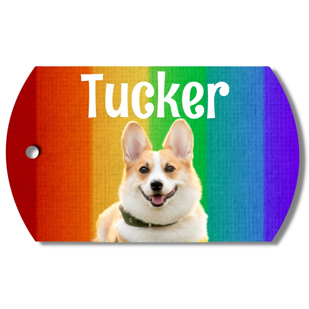 Photo Tag (Rainbow)