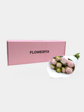 Pink Peonies - 15 Stems