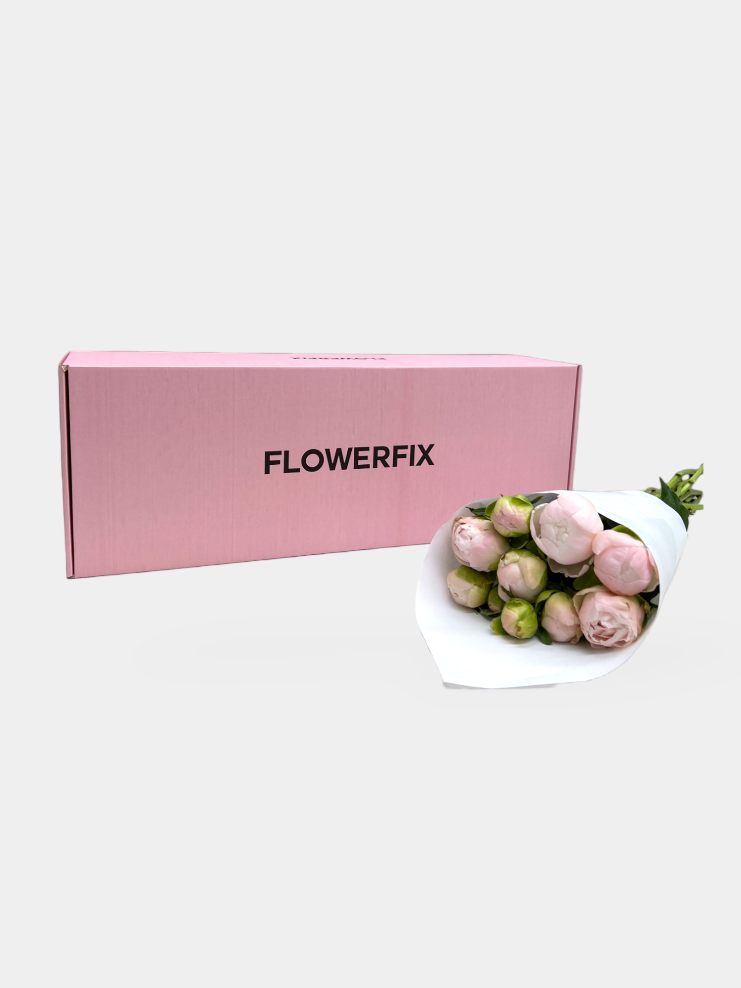 Pink Peonies - 10 Stems