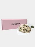 Porcelina Spray Roses - 20 Stems