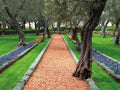 10-20mm Red Granite Chippings - Bulk Bag / Red
