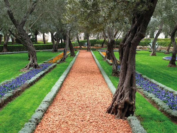 10-20mm Red Granite Chippings - 50 Mini Bags / Red