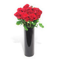 Ecuadorian Red Roses - 51 Long Stems