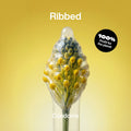 Ribbed Condoms - 40 / 56 mm