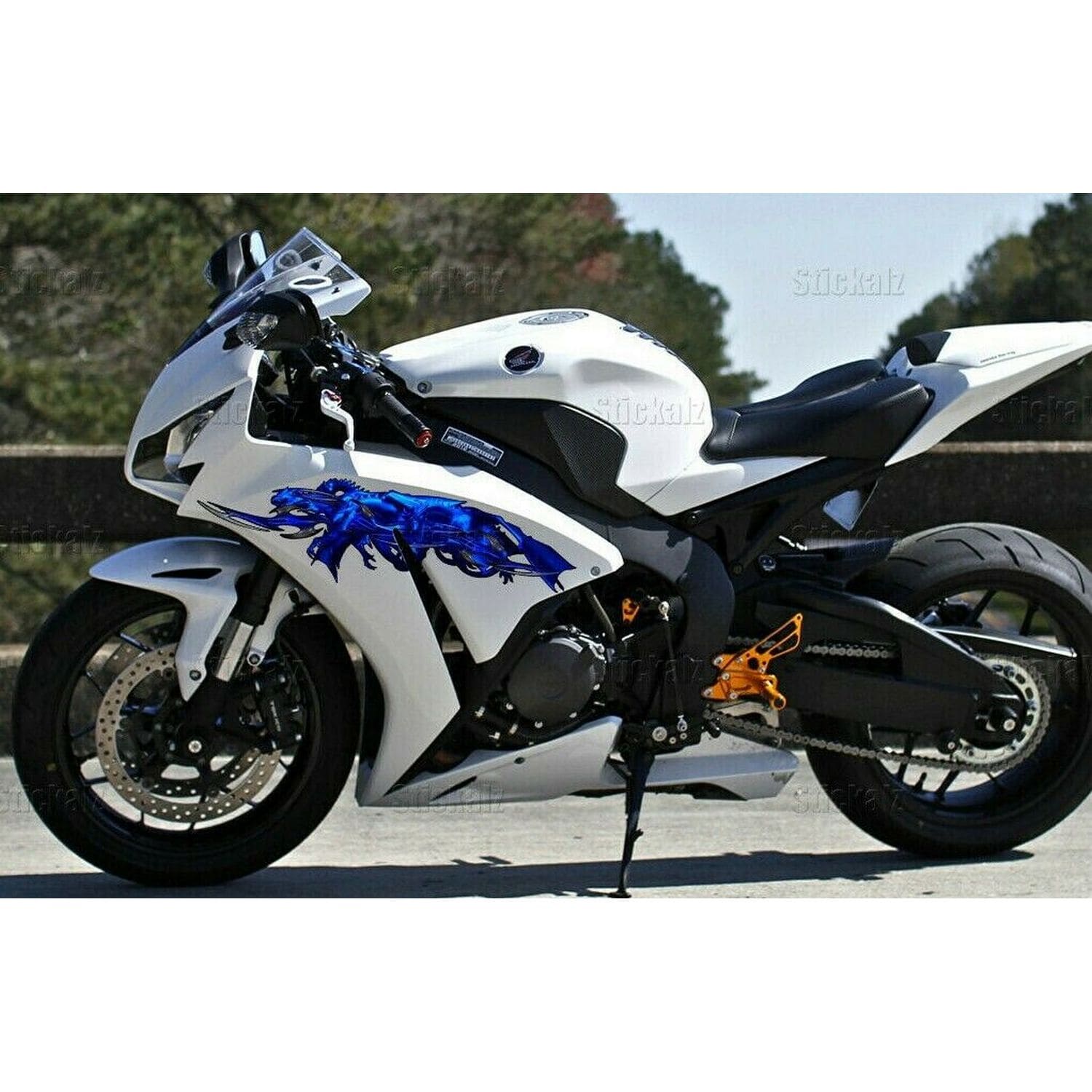 Dragons Dirt Bike Full Color Vinyl Sticker Dragons Sport Bike Decals Graphics - 15x45