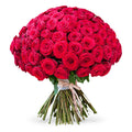 Boulevard Reds - 401 Roses