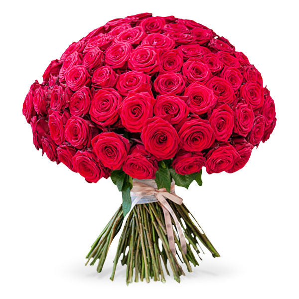 Boulevard Reds - 401 Roses