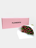 Delicious Tulips