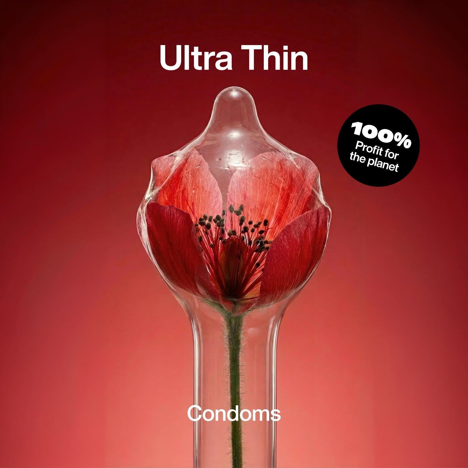 Ultra Thin Condoms - Regular - 40 / 53 mm