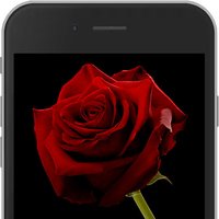 Red E-Rose