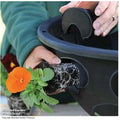 BloomAround 30cm Hanging Baskets - Weatherproof, Easy-Plant, Large-Capacity | Wowcher