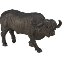 Cape Buffalo