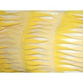 Deadstock Embroidered Sheer Chiffon Fabric Cream