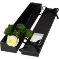 Single Extra Long Luxury White Rose