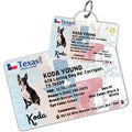 License Tag (Texas)