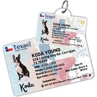 License Tag (Texas)
