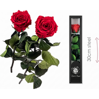 Langstielige Rose im Sichtkasten