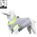 Truelove Pet Cooling Vest Summer Clothes Cooler giacca leggera per cani di taglia piccola e grande inverno caldo e fresco per la spiaggia TLG2511