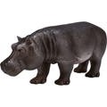 Hippopotamus Female