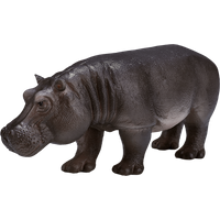 Hippopotamus Female