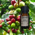 Kawowy naturalny olejek eteryczny - Kawa absolut - 50ml