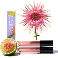 The Velvet Gloss in Barely There