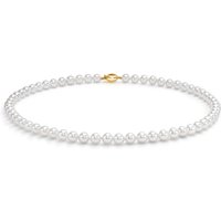 18ct Yellow Gold 5.5-6mm Akoya Pearl 16" Necklace