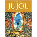Josep Maria Jujol. Ediz. italiana, spagnola e portoghese