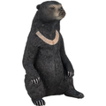 Sun Bear