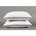 Set 2x oreillers 60x60 cm