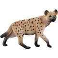 Hyena