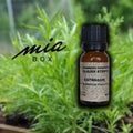 Estragonowy naturalny olejek eteryczny - Estragon - 50ml